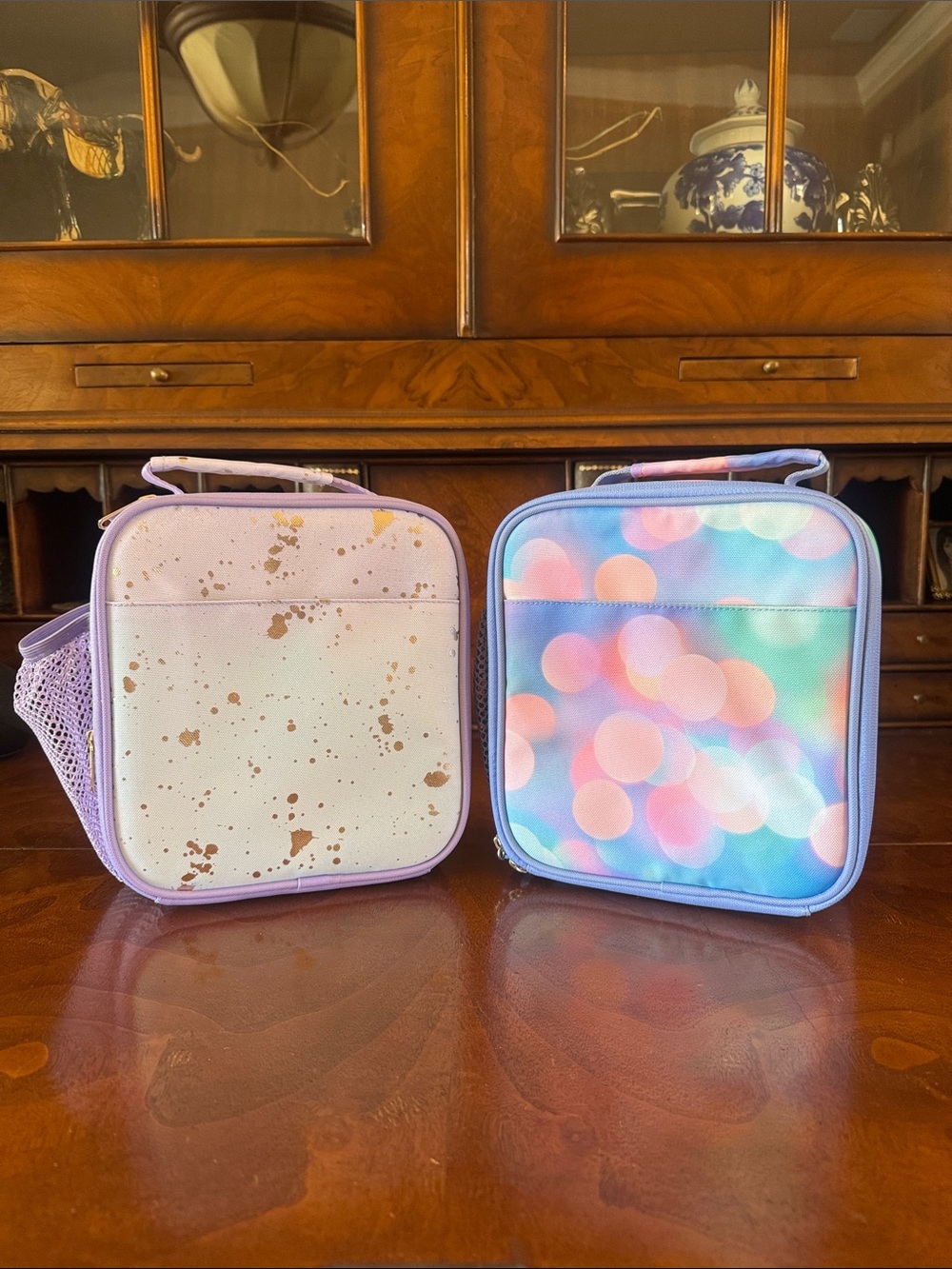 Fabulous! Pottery Barn Teens Set of 2 Lunchboxes - New!